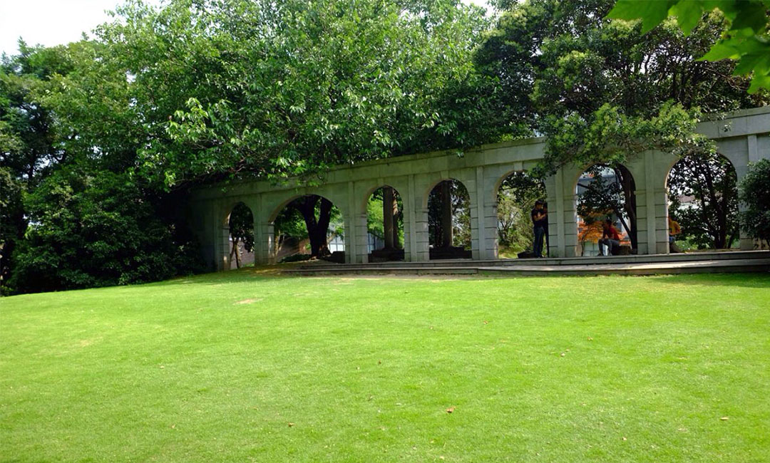 驻马店大了学微信加粉案例